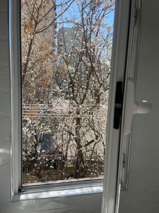 Warm Apartment In The Center Of Tirana City Esterno foto